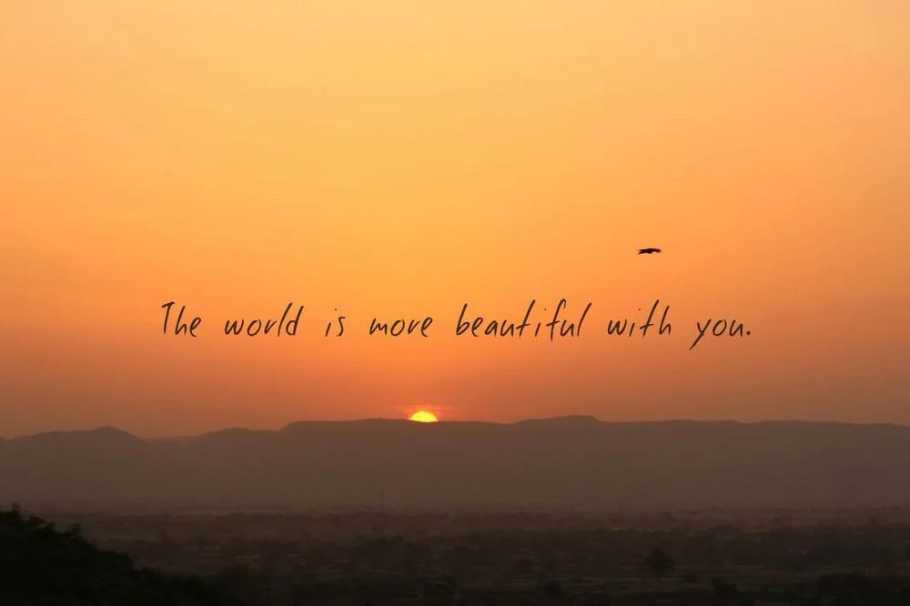 Sunset over hills with a bird flying and a handwritten quote overlay