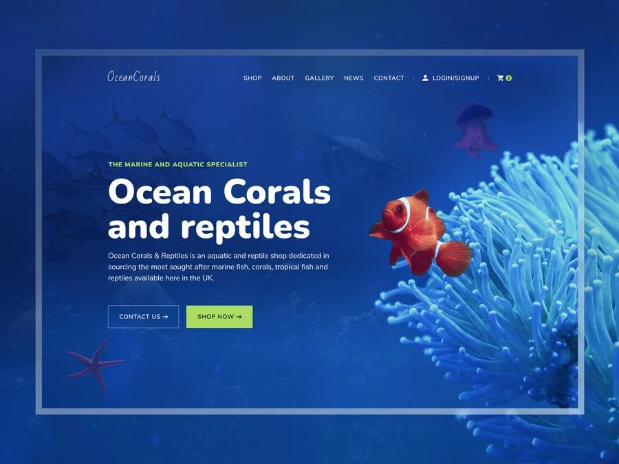 Ocean Corals and Reptiles ecommerce website